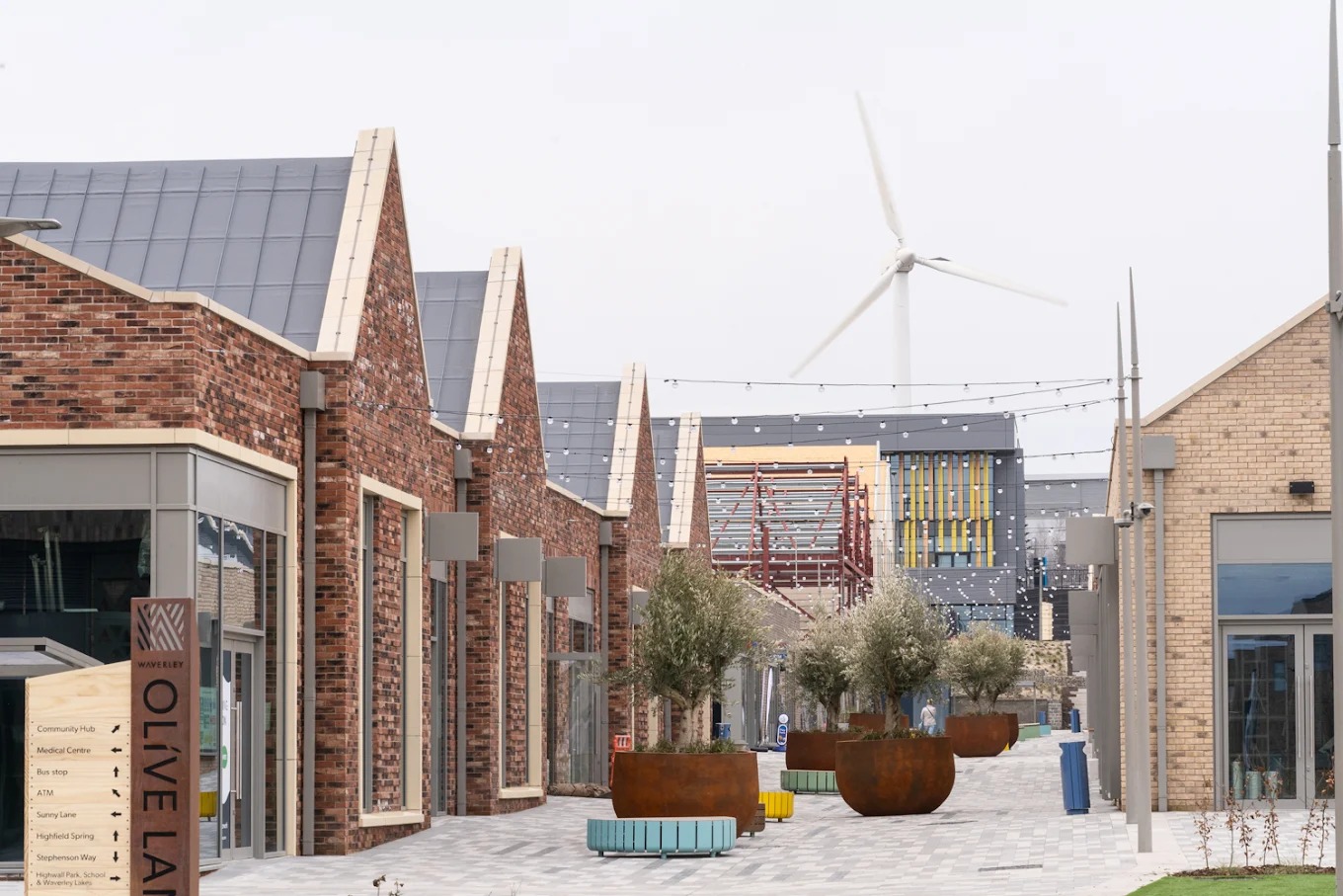 What’s On at Olive Lane - Waverley’s New Community - Sky-House Co