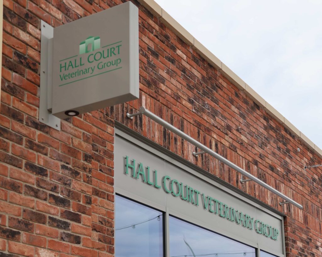 What’s On at Olive Lane - Waverley’s New Community - Sky-House Co