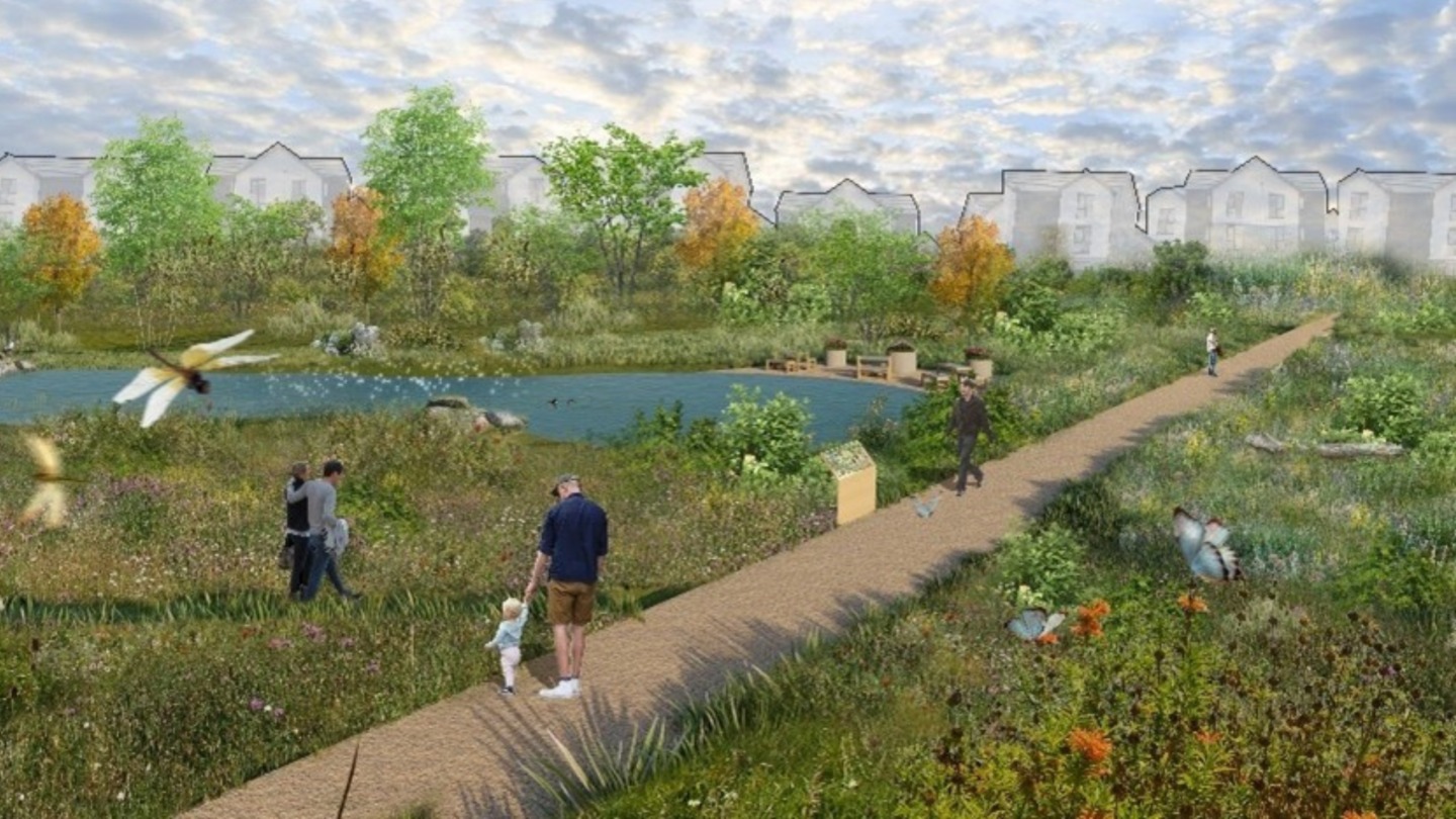 The Best Walks Around Waverley - Sky-House Co