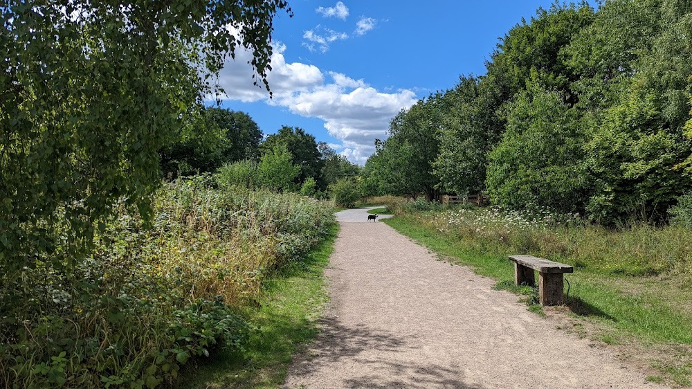 The Best Walks Around Waverley - Sky-House Co