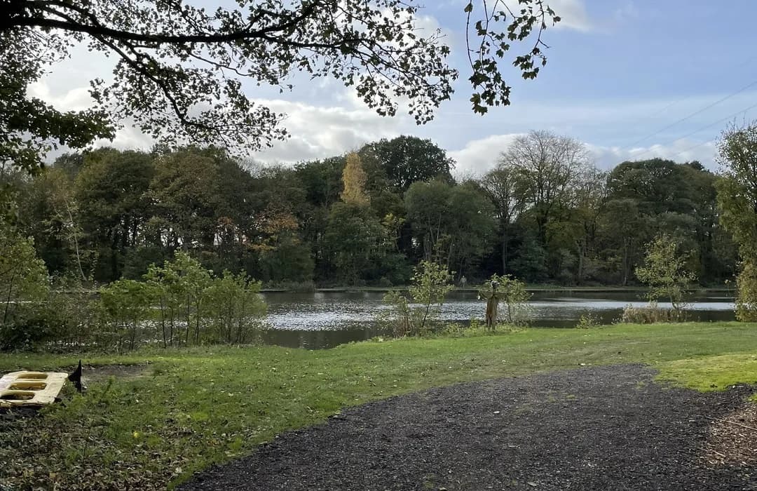 The Best Walks Around Waverley - Sky-House Co