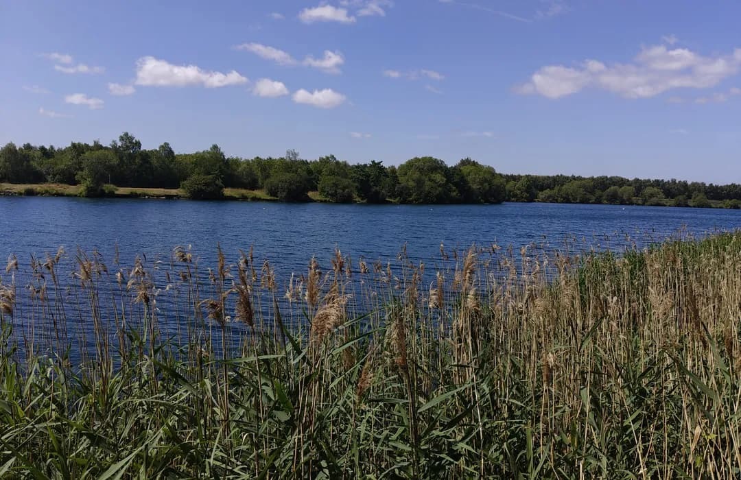 The Best Walks Around Waverley - Sky-House Co