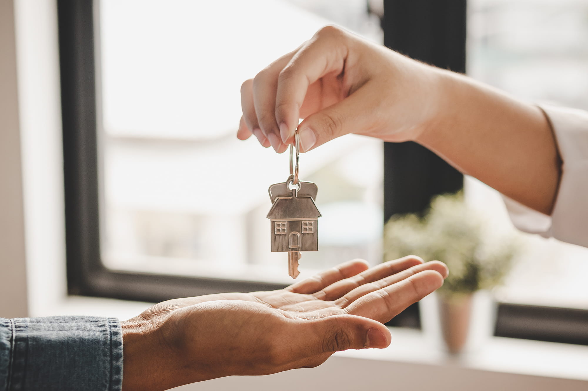What Does a Solicitor Do When Buying a House? - Sky-House Co What Does a Solicitor Do When Buying a House? - Sky-House Co